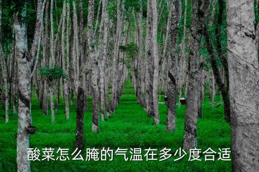 酸菜怎么腌的氣溫在多少度合適