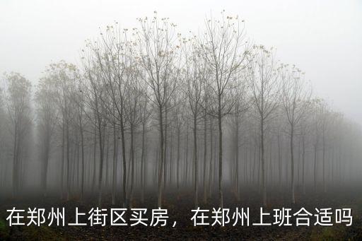 在鄭州上街區(qū)買房，在鄭州上班合適嗎