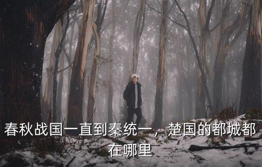春秋戰國一直到秦統一，楚國的都城都在哪里