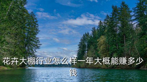 花卉大棚行業怎么樣一年大概能賺多少錢