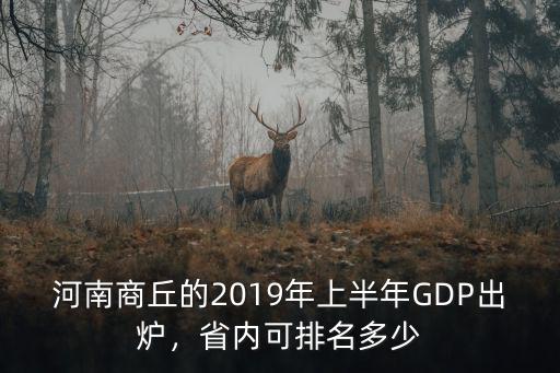 商丘歷年gdp在全省排名多少,商丘GDP在河南省排名前十