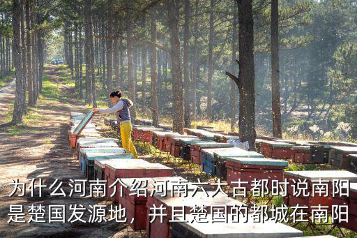 南陽銅礦在哪里,中國兩大銅生產基地在哪里