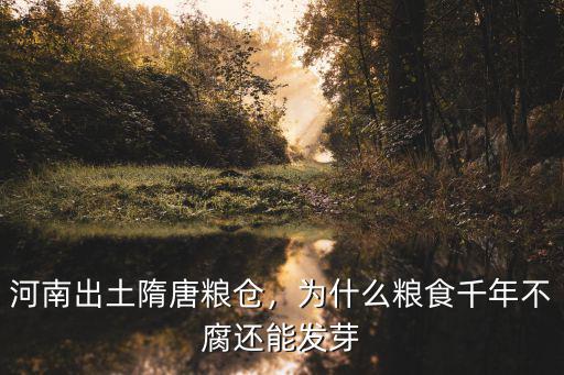 河南出土隋唐糧倉，為什么糧食千年不腐還能發芽