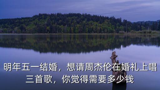 信陽唱一首歌多少錢,你覺得需要多少錢
