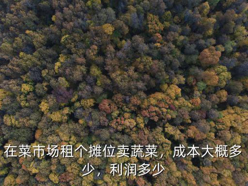 鄭州蔬菜批發(fā)市場攤位怎么租,我在市場租了個攤位想賣蔬菜