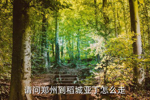 從鄭州怎么到稻城亞丁,請問鄭州到稻城亞丁怎么走