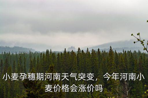 小麥孕穗期河南天氣突變，今年河南小麥價格會漲價嗎