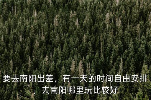 要去南陽出差，有一天的時間自由安排，去南陽哪里玩比較好