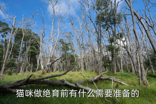貓咪做絕育前有什么需要準(zhǔn)備的