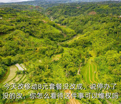 怎么改8元套餐河南,你怎么看待這件事