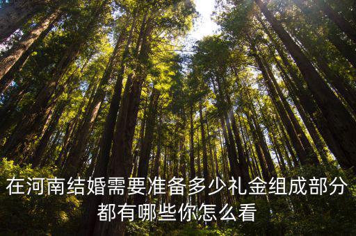 河南省結婚禮金多少,在河南結婚需要準備多少禮金