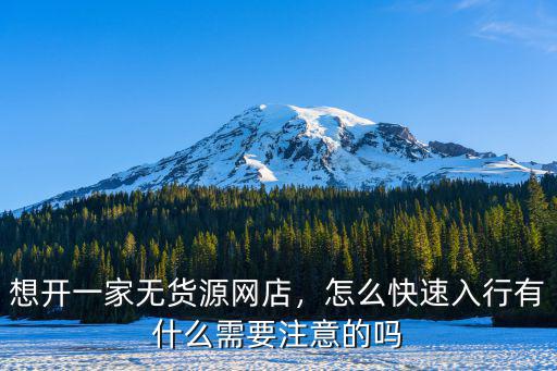 想開一家無貨源網店，怎么快速入行有什么需要注意的嗎