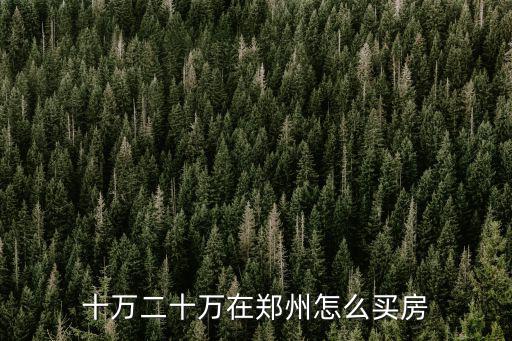 十萬二十萬在鄭州怎么買房