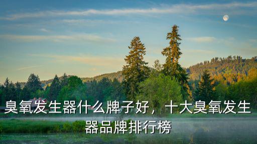 鄭州臭氧發(fā)生器哪里好,臭氧發(fā)生器什么牌子好