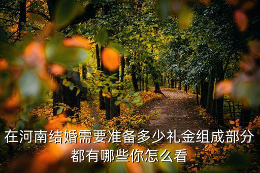 在河南結婚需要準備多少禮金組成部分都有哪些你怎么看