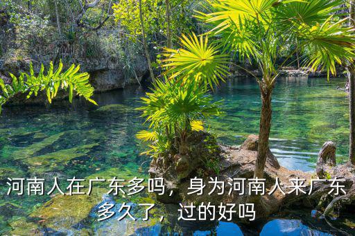 河南人在廣東多嗎，身為河南人來廣東多久了，過的好嗎