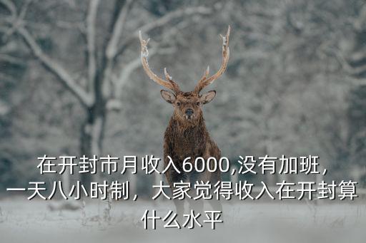 在開封蘭大上班怎么樣,開封大學怎么樣