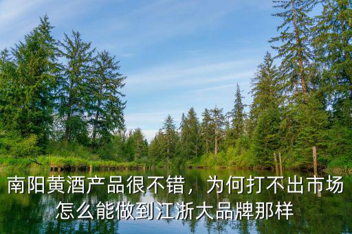 南陽哪里的黃酒出名,南陽黃酒產品很不錯
