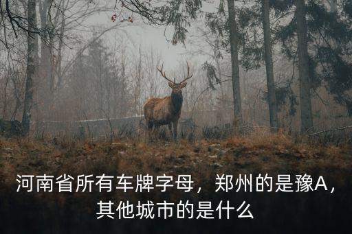 鄭州的城市編碼是多少,鄭州的是豫A