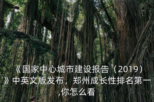 《國家中心城市建設報告（2019）》中英文版發布，鄭州成長性排名第一,你怎么看
