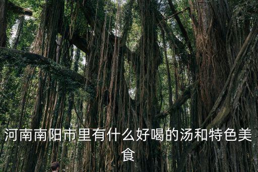 南陽市哪里做的魚好吃,南陽有什么好吃的美食