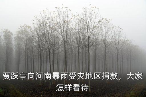 賈躍亭向河南暴雨受災地區捐款，大家怎樣看待