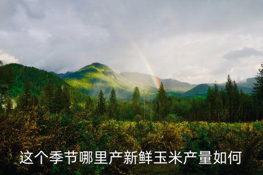 河南哪里有鮮玉米批發農戶,河南玉米現價如何