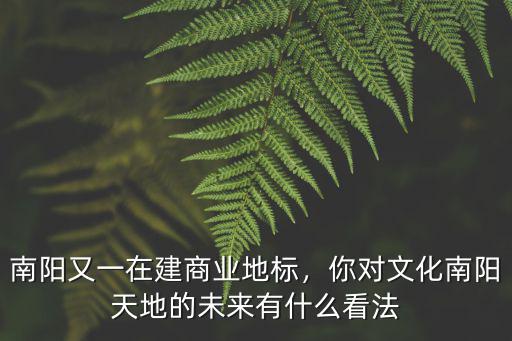 南陽又一在建商業地標，你對文化南陽天地的未來有什么看法