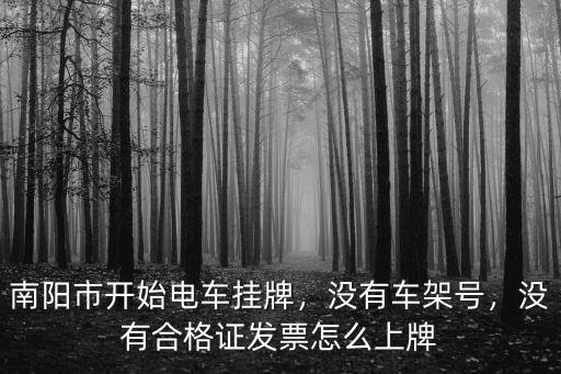南陽市開始電車掛牌，沒有車架號，沒有合格證發票怎么上牌