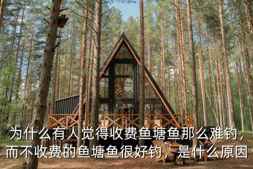 駐馬店哪里有釣魚不收費的,有什么地方釣魚不收費