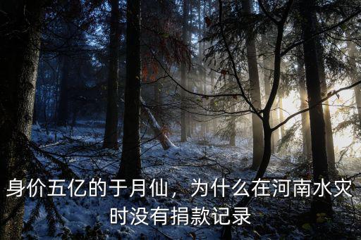 身價五億的于月仙，為什么在河南水災(zāi)時沒有捐款記錄