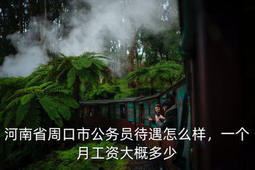 河南省周口市公務員待遇怎么樣，一個月工資大概多少