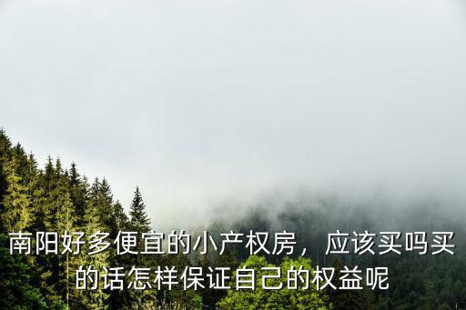 南陽好多便宜的小產權房，應該買嗎買的話怎樣保證自己的權益呢