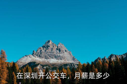 在深圳開公交車，月薪是多少