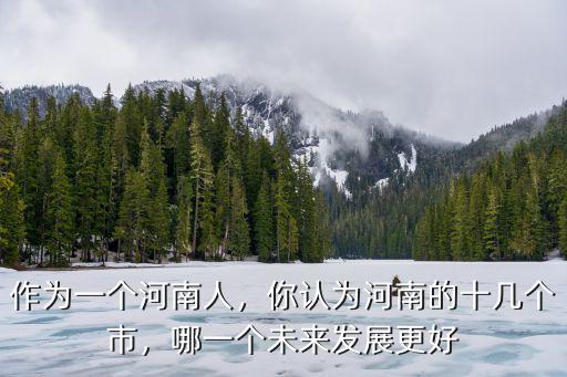 作為一個河南人，你認為河南的十幾個市，哪一個未來發展更好