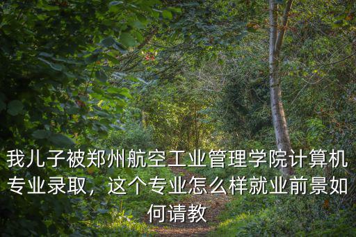 我兒子被鄭州航空工業管理學院計算機專業錄取，這個專業怎么樣就業前景如何請教