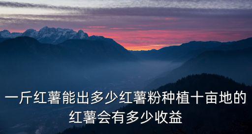 一斤紅薯能出多少紅薯粉種植十畝地的紅薯會有多少收益