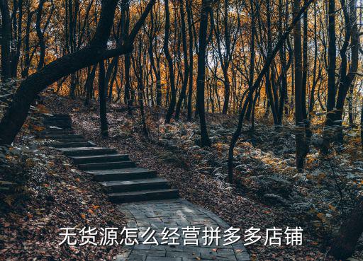 無貨源怎么經營拼多多店鋪