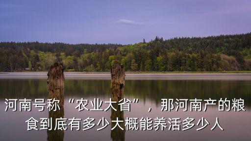 河南糧庫有多少糧,那河南產的糧食到底有多少