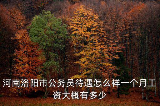 河南洛陽市公務(wù)員待遇怎么樣一個(gè)月工資大概有多少
