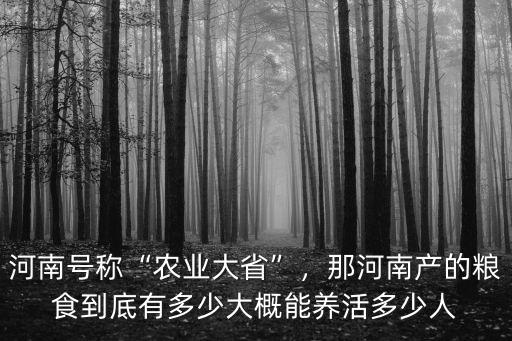 河南號稱“農業大省”，那河南產的糧食到底有多少大概能養活多少人