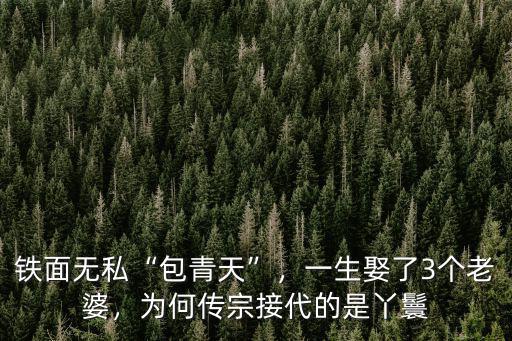 開封府 包拯老婆怎么了,一生娶了3個老婆