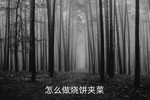 怎么做燒餅夾菜