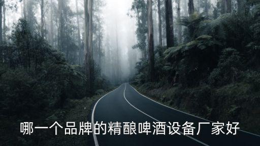 哪一個品牌的精釀啤酒設備廠家好