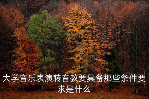焦作大學(xué)音樂表演怎么樣,聲樂表演專業(yè)怎么樣
