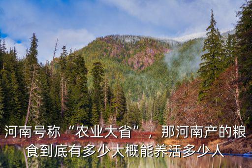 河南號稱“農業大省”，那河南產的糧食到底有多少大概能養活多少人
