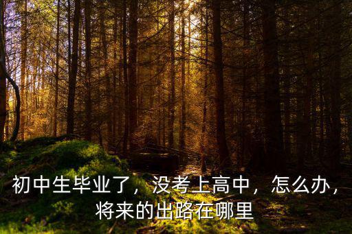 初中生畢業(yè)了，沒考上高中，怎么辦，將來的出路在哪里
