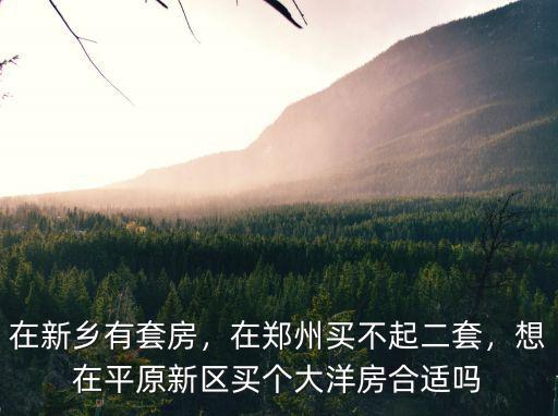 鄭州平原新區(qū)住房均價(jià)是多少,對于新鄉(xiāng)市平原新區(qū)的房子