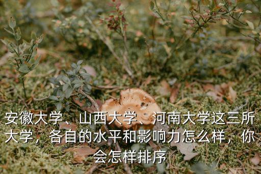 安徽大學、山西大學、河南大學這三所大學，各自的水平和影響力怎么樣，你會怎樣排序