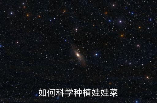 如何科學種植娃娃菜